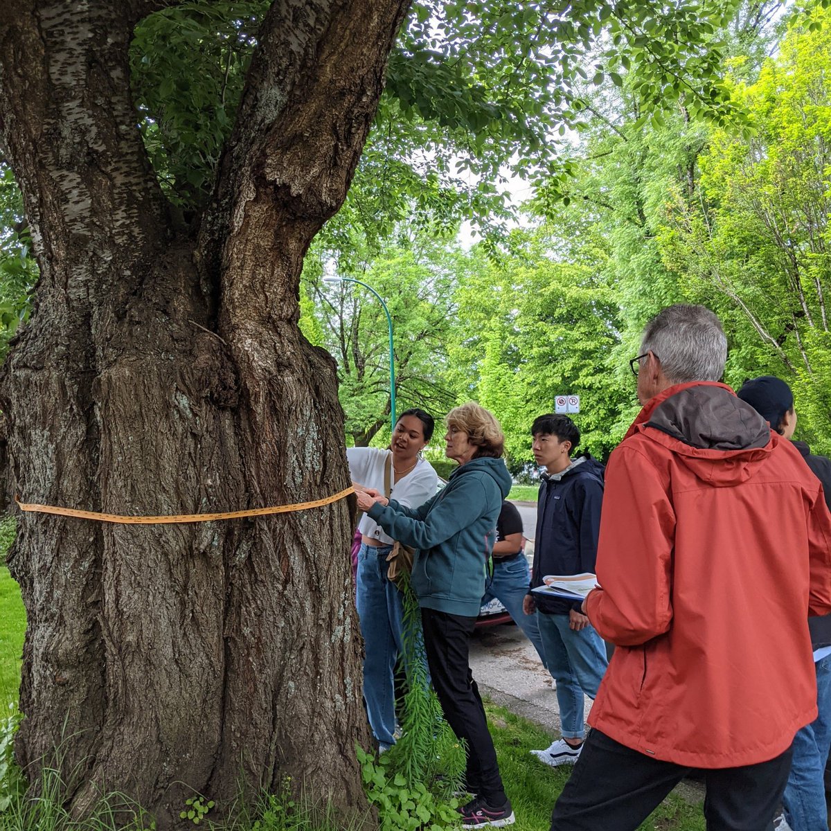 ubcccel's tweet photo. Last week was our first 🌳Trout Lake Cool ‘Hood Champs 🏘️ workshop! Even if you didn’t attend, it’s not too late to join us this Wed, Jun 8, 6-8pm as we vision greener, safer, friendlier neighbourhoods! 

Register 👉 https://t.co/umwFVy7RFP 

#ClimateActionMobilizers #ubcccel https://t.co/iU2S6cRza2