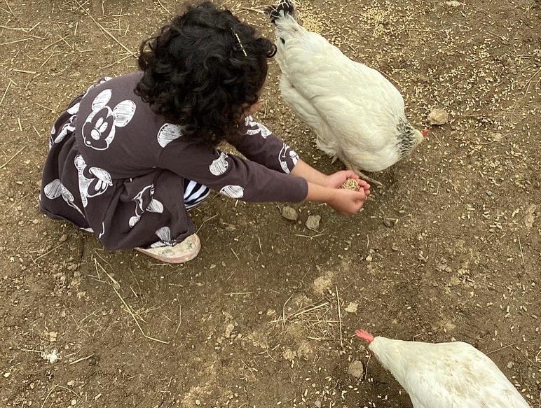OutdoorRutland's tweet photo. And weβre back with our #rutlandducklings Tues PM group!
The group made #smores on the fire π₯
#roec #winghallfarm #wing #stamford #uppingham #discoverrutland #oakham #farm #forestschool #outdoorlearning #corby #peterborough #leicestershire #rutland #outdoorcooking #campfire https://t.co/jXVkFkAXzy
