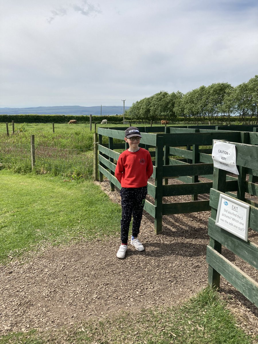 Maze completed! 👍🏻