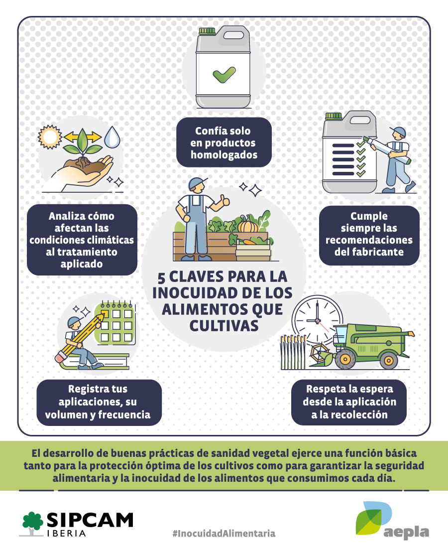 sipcam_iberia's tweet photo. La higiene y la correcta conservación de los alimentos que consumes son básicas para tu salud. Aquí tienes 5 claves para incrementar al máximo la inocuidad alimentaria y evitar riesgos 🥬🚿👍

#seguridadalimentaria #alimentossanos #alimentosseguros #aepla #SIPCAMIberia https://t.co/JaiM0xBU7P