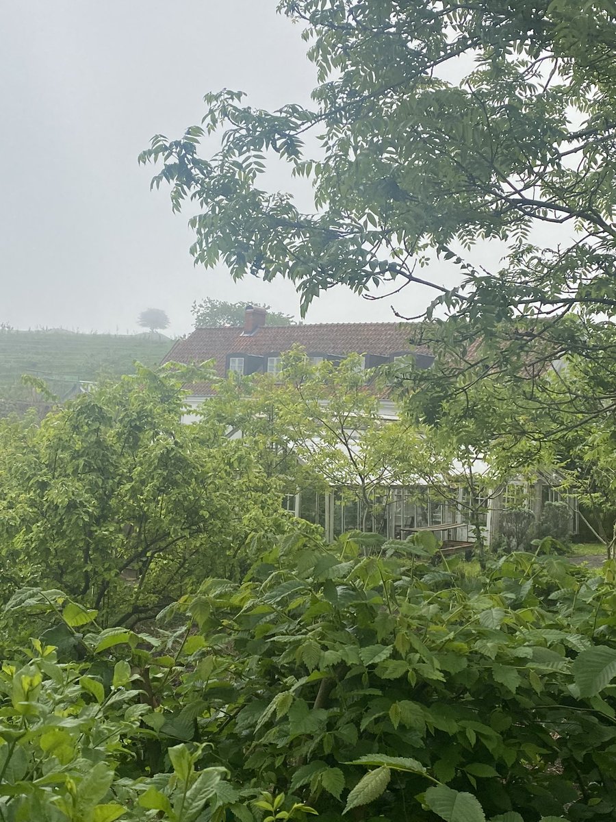 Fin morgon hos Mandelmanns i Rörum. Kaffet är kalibrerat inför säsongen som startar imorgon.