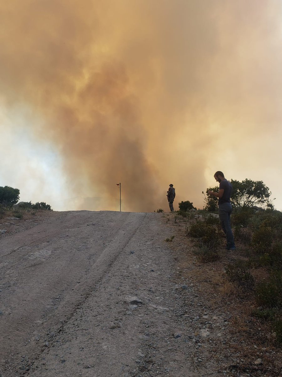 coreinfronte's tweet photo. Un feu s'est déclenché à l'Agriate, à Casta, provoqué par des manœuvres militaires.
La Corse connaît un épisode de chaleur, se sécheresse. La météo avait annoncé la levée du vent.
Ou "la 7e compagnie" est à la tête de l'Armée en Corse ou alors l'inconscience règne en son sein. https://t.co/67mrRfCb7q