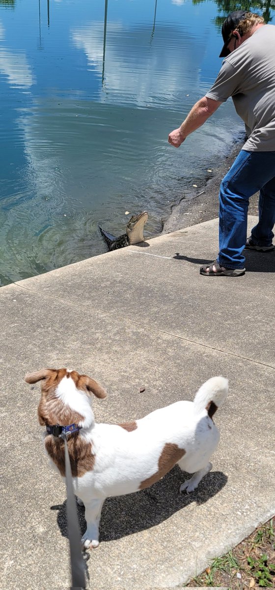 MTDrivers's tweet photo. Just me and Lucky saying hello to a friend. https://t.co/LCcKM5Zici