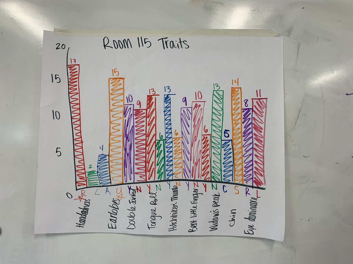Self_Taught_Sci's tweet photo. First few days of summer school have gone very well! We are becoming masters of genetics.  😁 #myIrvingISD #ScienceSummer https://t.co/ZzBKh73ybY