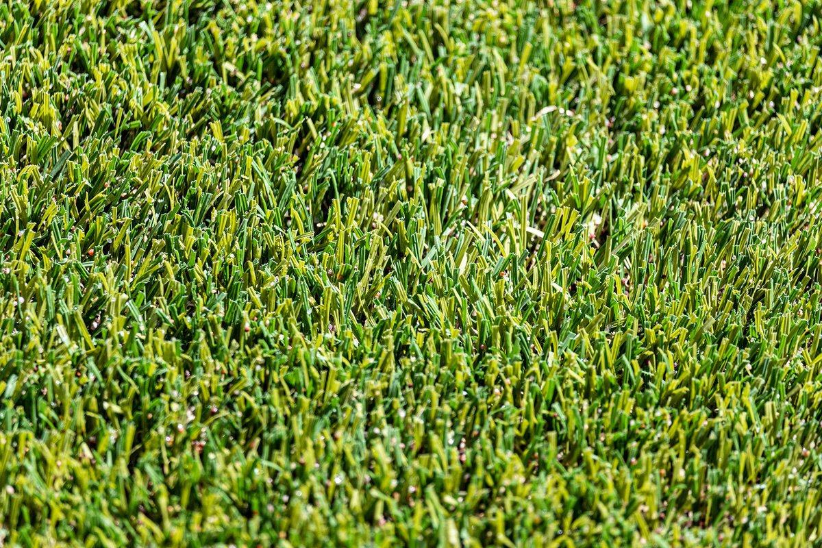TurfEnvyUSA's tweet photo. Summer is coming, and you know what that means. The heat is going to be hard to beat. We can make it easy by cooling your turf with an infill that can reduce the temperature of your lawn by up to 50ΒΊ!
#TurfEnvyUSA #TurfCooling #CoolTechnology #ArtificialTurf #FakeGrass #LasVegas https://t.co/mTF9KO9mb2