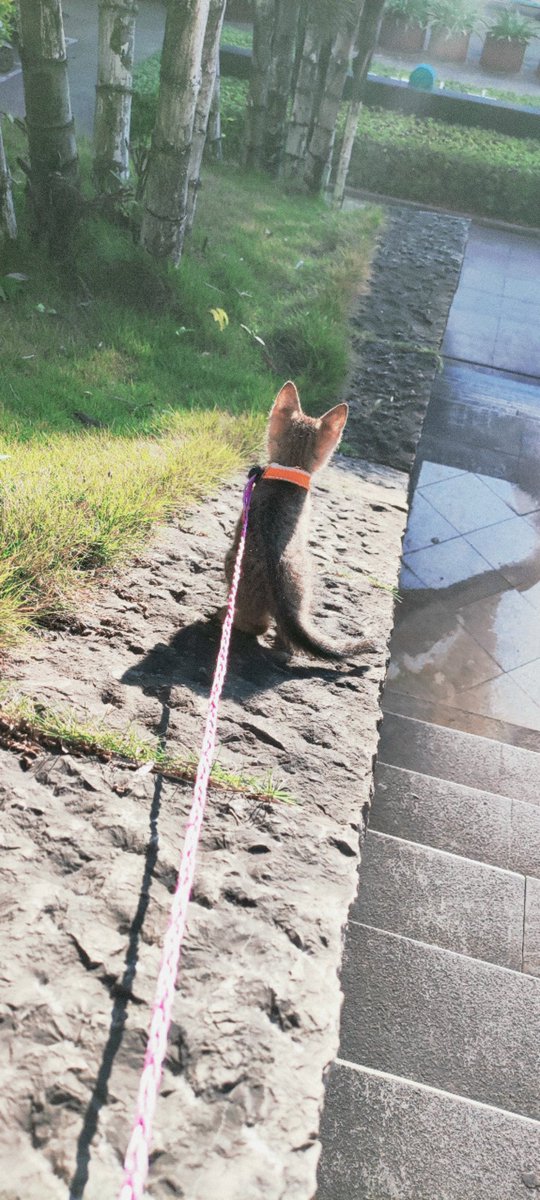 𝙰𝚟𝚎𝚛𝚢 𝚀𝚞𝚒𝚗𝚗 tweet media