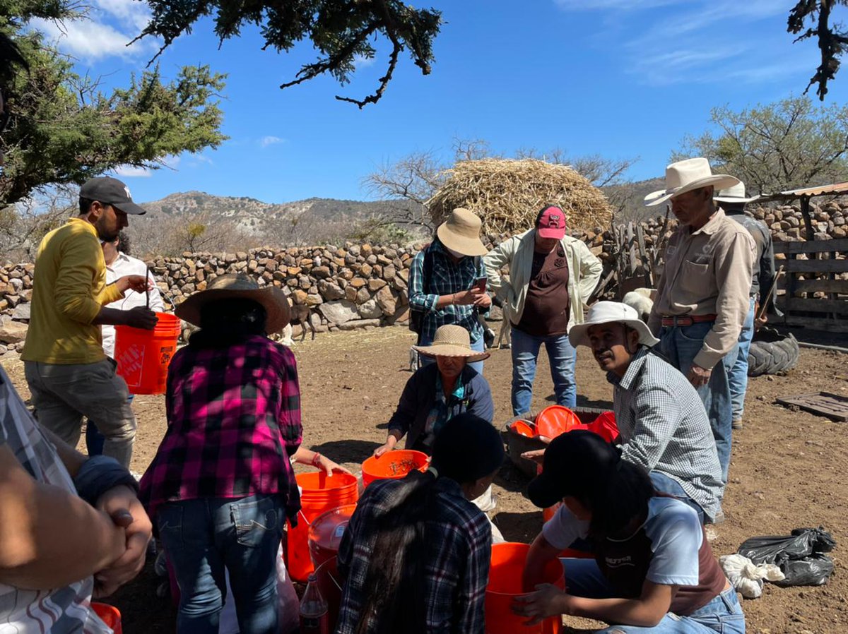 AmbienteMujeres's tweet photo. Les compartimos unas fotos de un taller que tuvimos el viernes de elaboración de abonos: super magro y microorganismos de montaña. nos apoyó Fernando Aguilar, biologo, en La Joya para los productores de Arnica!! https://t.co/gOTY8MAlCM