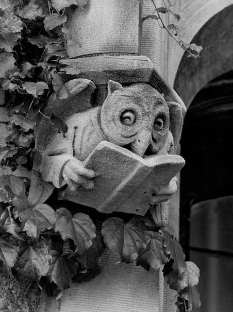 ElliottBlackwe3's tweet photo. Why don't all buildings have reading owl gargoyles on them? https://t.co/56GxlyKDAK