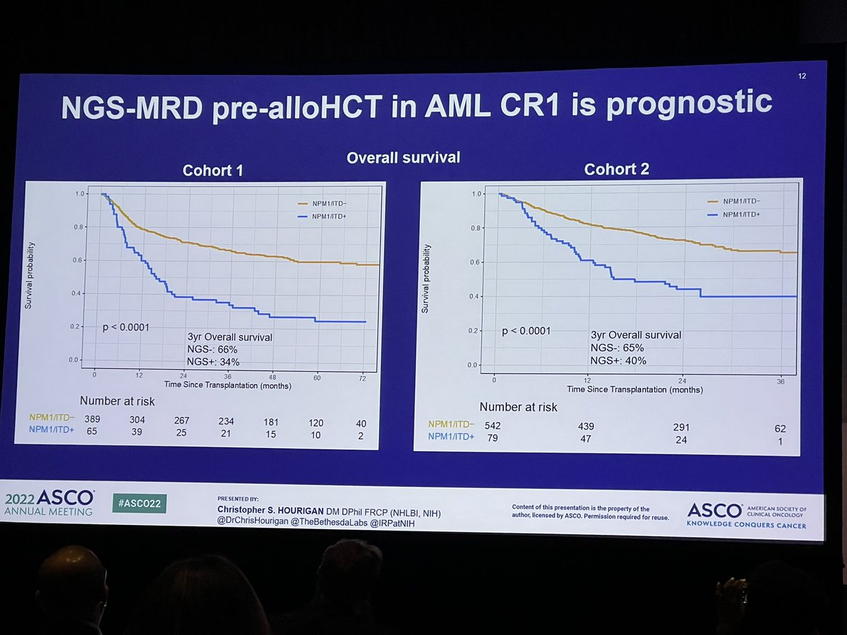 Greg Roloff tweet media