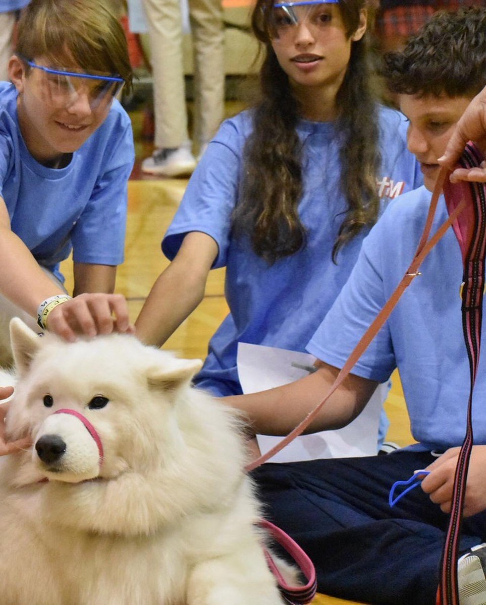 7th Grade participated in the 8th Annual Healthcare Explorer’s Day. Thank you to Dr. Sarah Sapienza for organizing a spectacular day! DaVinci Science Center, Olympus Medical Technology, LVHN, &amp; Emmaus Animal Hospital all hosted stations for hands on experiences. #STMscholars ❤️🖤