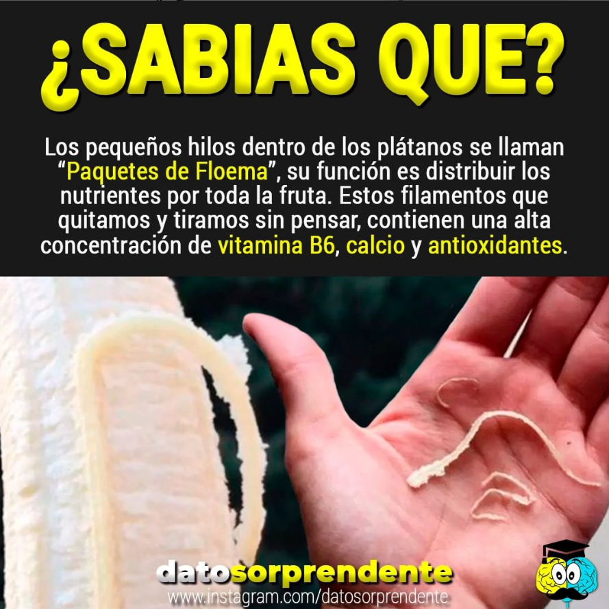 DearOphelia_SL's tweet photo. Ustedes sabian esto? https://t.co/EA0CVB2Rxh