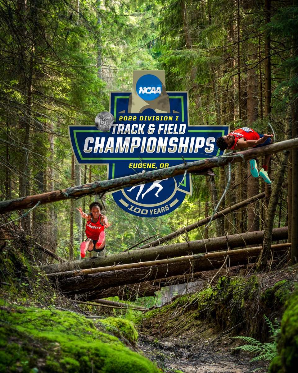 mark landis tweet media