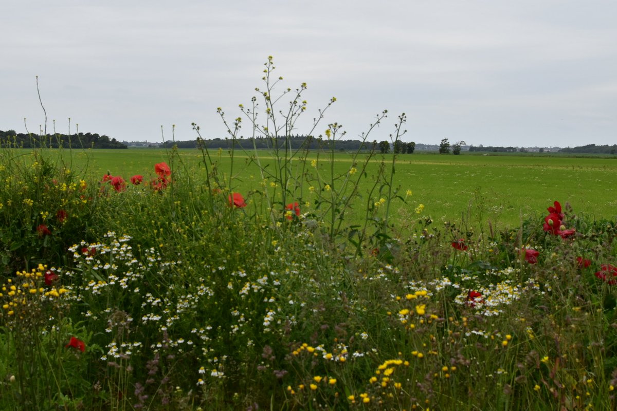 Tracey (@pebble_photo) on Twitter photo 