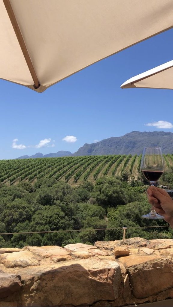 liviuuh's tweet photo. beautiful vineyard. https://t.co/vS3msGx0xz