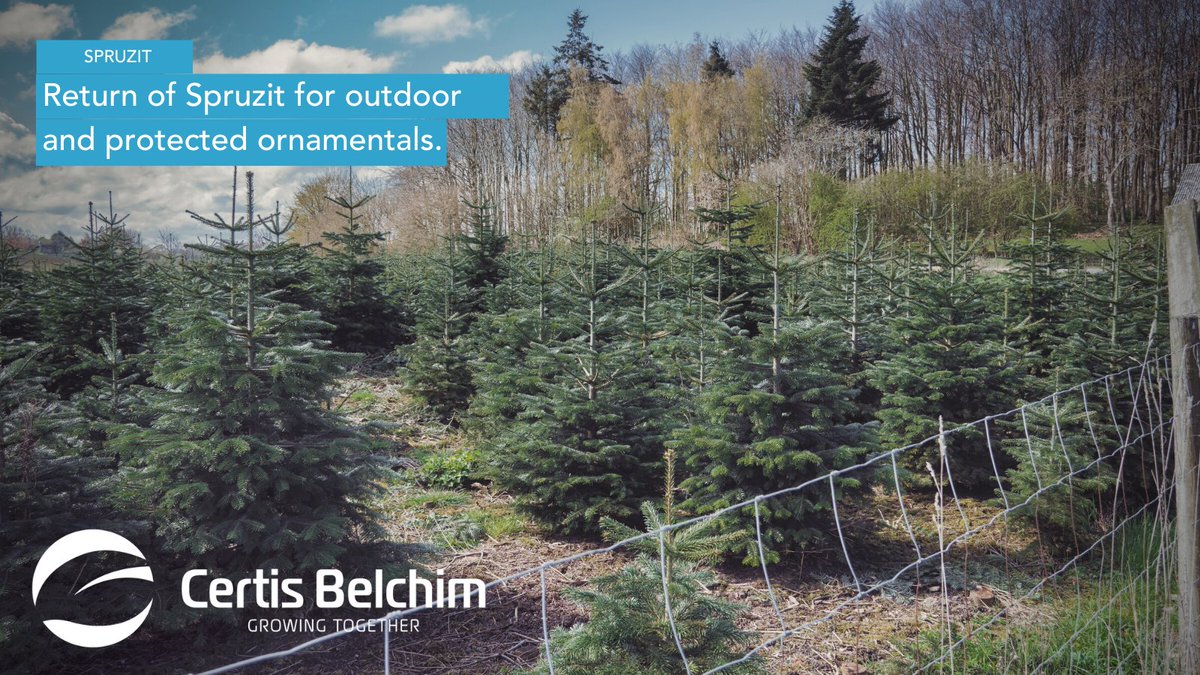 certis_belchim's tweet photo. CRD has issued an EAMU for the use of Certis Belchim’s insecticide Spruzit on ornamentals grown outdoors or under temporary protection to control a wide range of biting and sucking insect pests. To read more visit: https://t.co/TBTtzJfCCc
#FarmingUk #Farm #EAMU https://t.co/mGJpwfUcbR