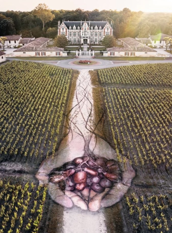 DavidBonnand's tweet photo. Château #CantenacBrown, 2022
📍#Cantenac #France 🇫🇷
by #DavidPopa ()
#streetart #graffiti #art
#fresque #urbanart
#WineArt #Margaux https://t.co/Wo7IS4wobz