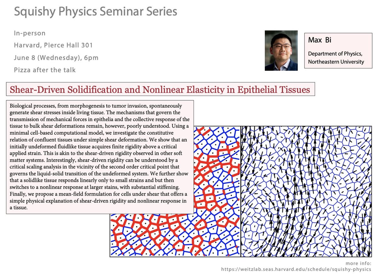 Join us tomorrow for an in-person Squishy Physics seminar by Max Bi.