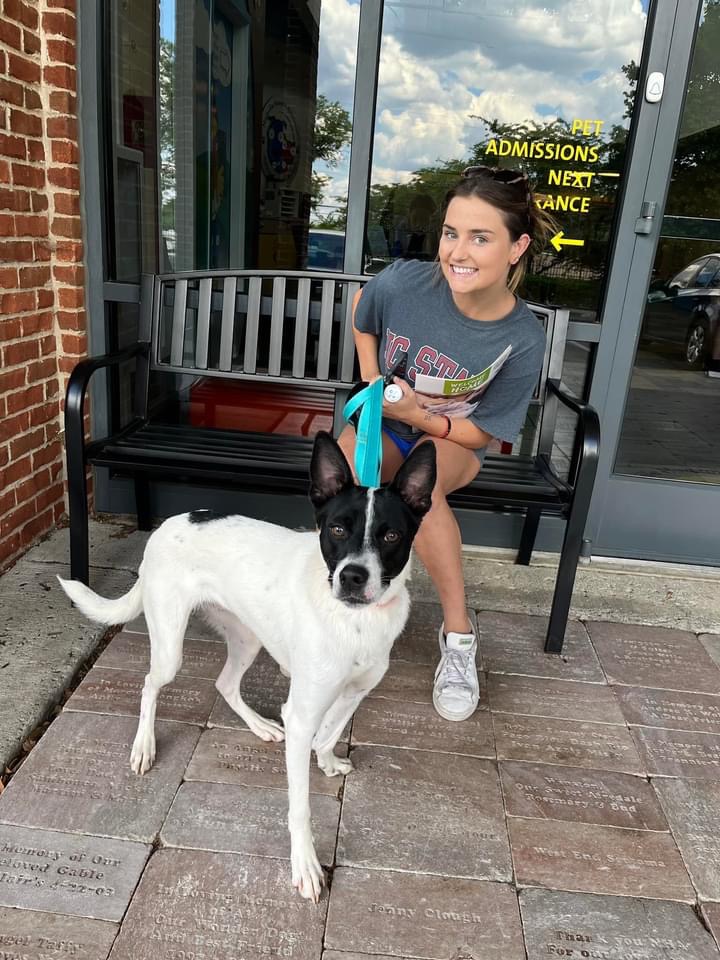 nashvillehumane's tweet photo. Today is #NationalBestFriendsDay! Who wants to ADOPT a BFF & then get a #HappyHome keepsake? THX to @HappyHiller #HappyCam you now may get a perfect memento on the most special day for free! Allow us to introduce you to our "Happy Hiller Photo Booth" located in our Front Lobby… https://t.co/bi9WoNifaa
