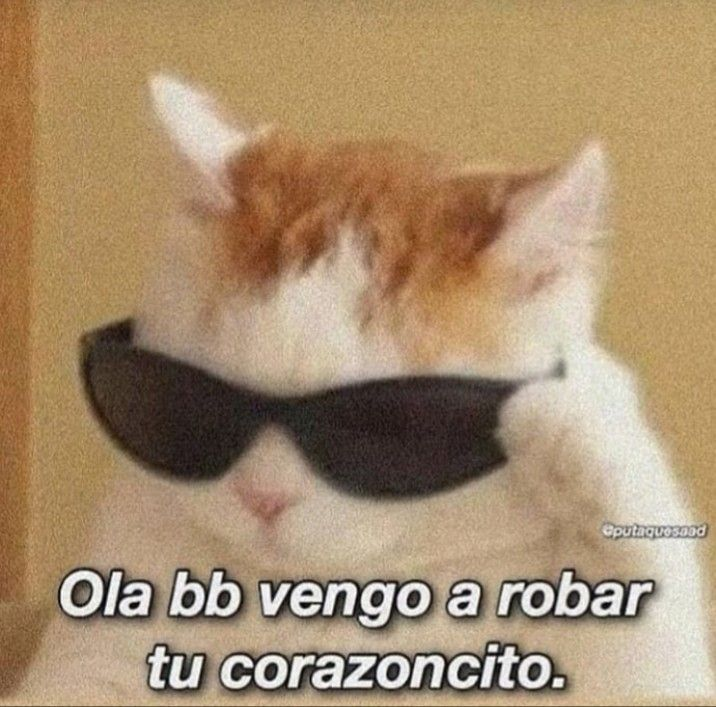 lasubnormalesta's tweet photo. Esto es un tweet programado de junio de 2021. Hoy cumplo 22 años y es 22 del 2022 AAAA hola paula del futuroo https://t.co/tSmPpTmEZw