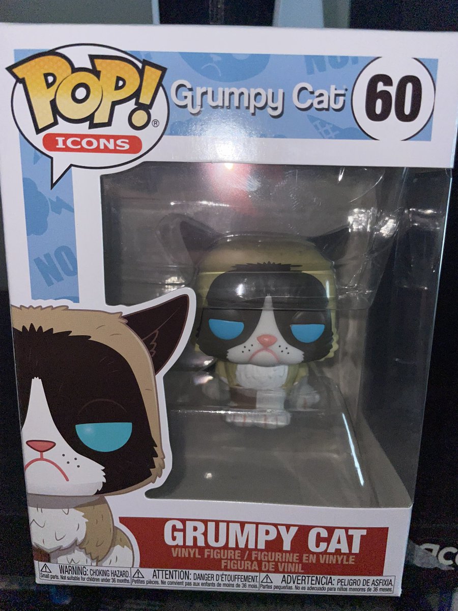 Grumpy Cat (@RealGrumpyCat) / টুইটার
