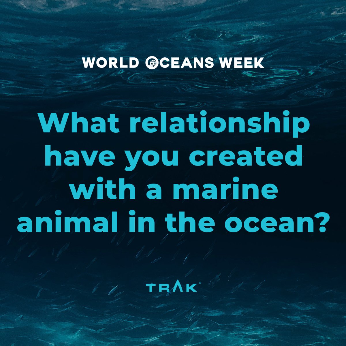 World Oceans Week - Day 7! 
Every day we ask a different question about our relationship to the oceans around us… today’s is: “What relationship have you created with a marine animal in the ocean?”
We would love to hear from you!  
#TRAK #WorldOceansWeek #WorldOceansDay
