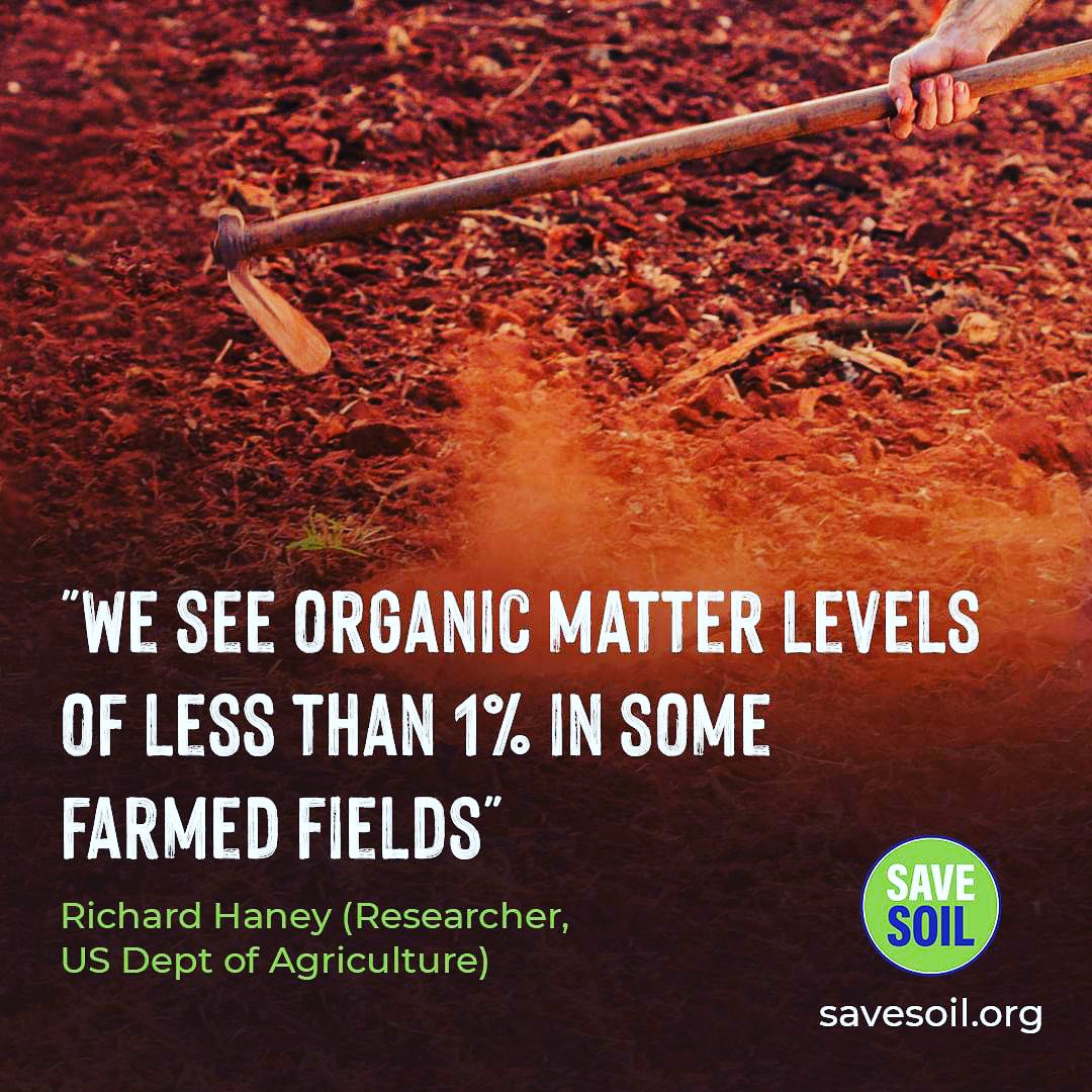nirvanaraw's tweet photo. Roots + mulch = #savesoil !! https://t.co/MbgXWdpJ4U