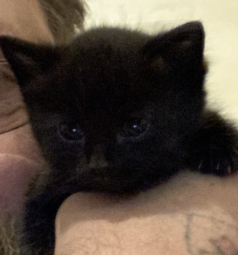 Dave 🇬🇧 (@davejordan2019) on Twitter photo 