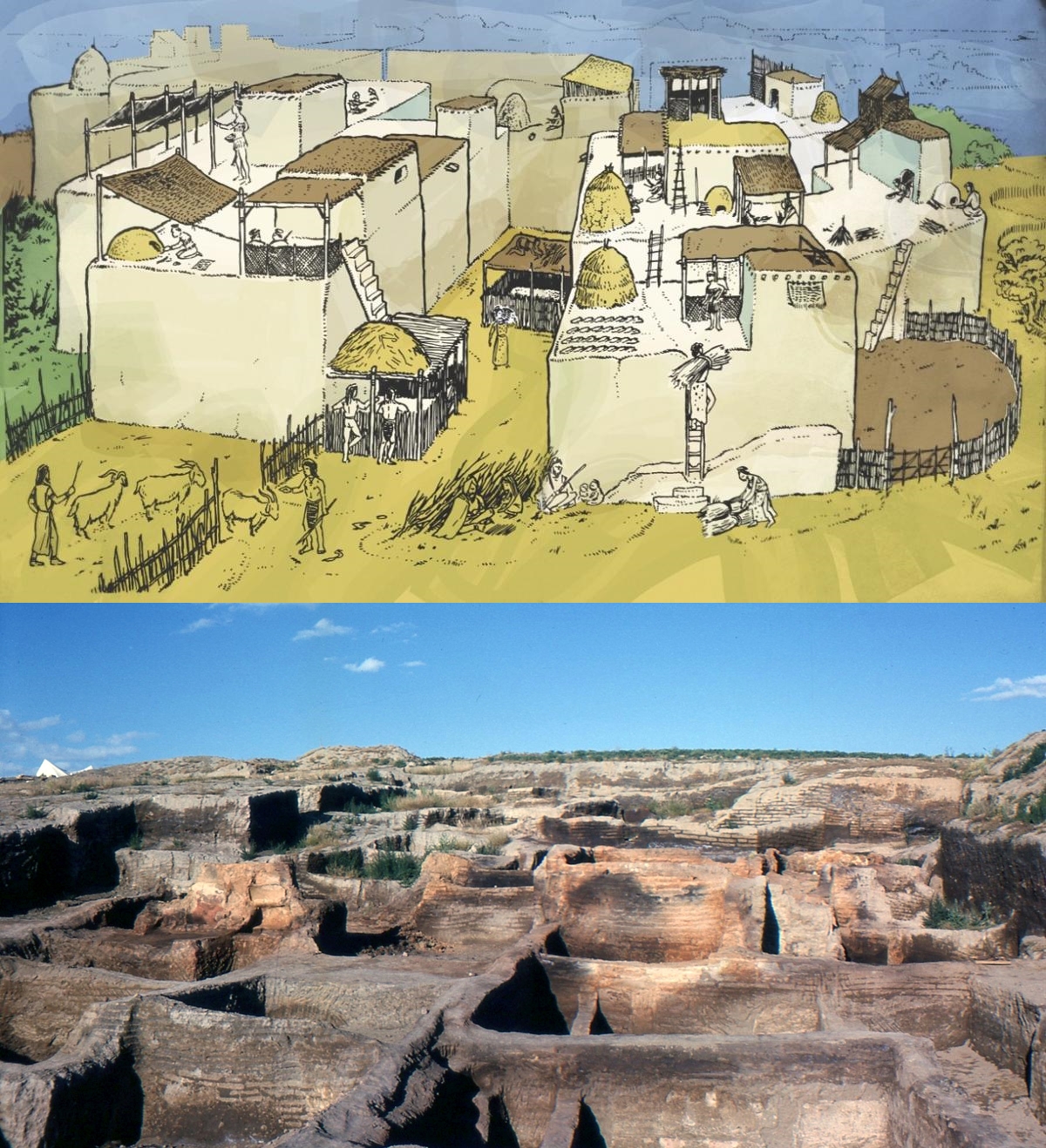 Archaeology art on twitter houses of atalh y k reconstruction