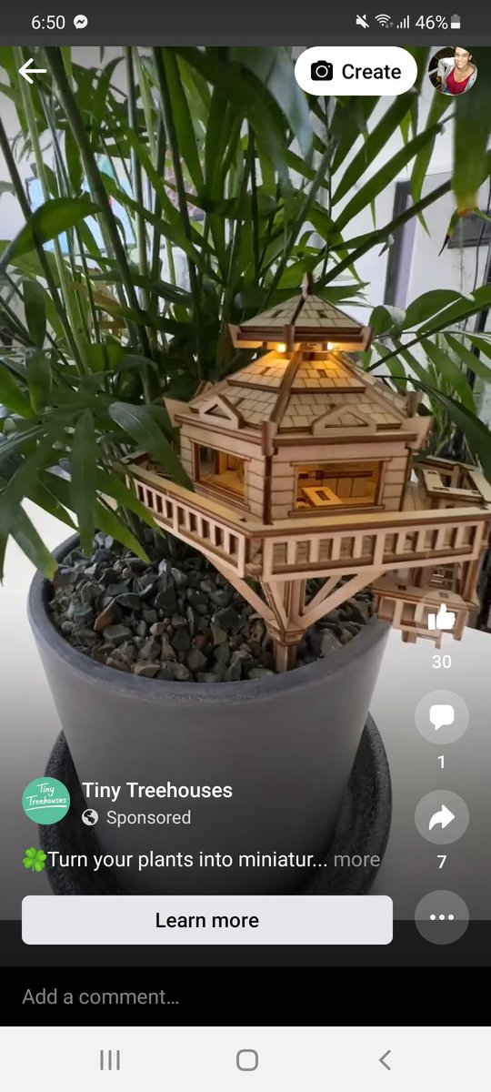 Rachel Elser tweet media