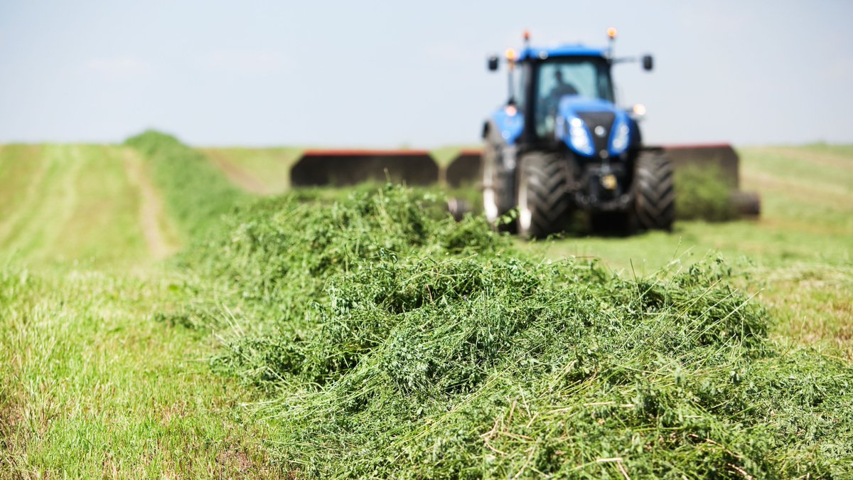 Much of first cut is in the bunks, so what’s next for your hay fields? Michelle Durnin of <a href="/Agri_Solve/">Agri-Solve Inc.</a> discusses fertilizing your hay fields like a cash crop on page 2: bit.ly/EDairyGrist-Su…

#haylage22 #farmingfortified #ontag  #cowchow #dairynutrition #cdndairy #ontdairy