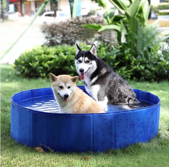 FuzzyPetco's tweet image. Summer is here! Let your dogs take a dip and cool off in your backyard with this pet pool! Multiple dogs can comfortably sit in the pool. Check out our website to get it delivered to you!
#pets #petpool #dogs #dogpool #doggiepool #pet #summer 
fuzzywuzzypetco.com/products/dog-t…