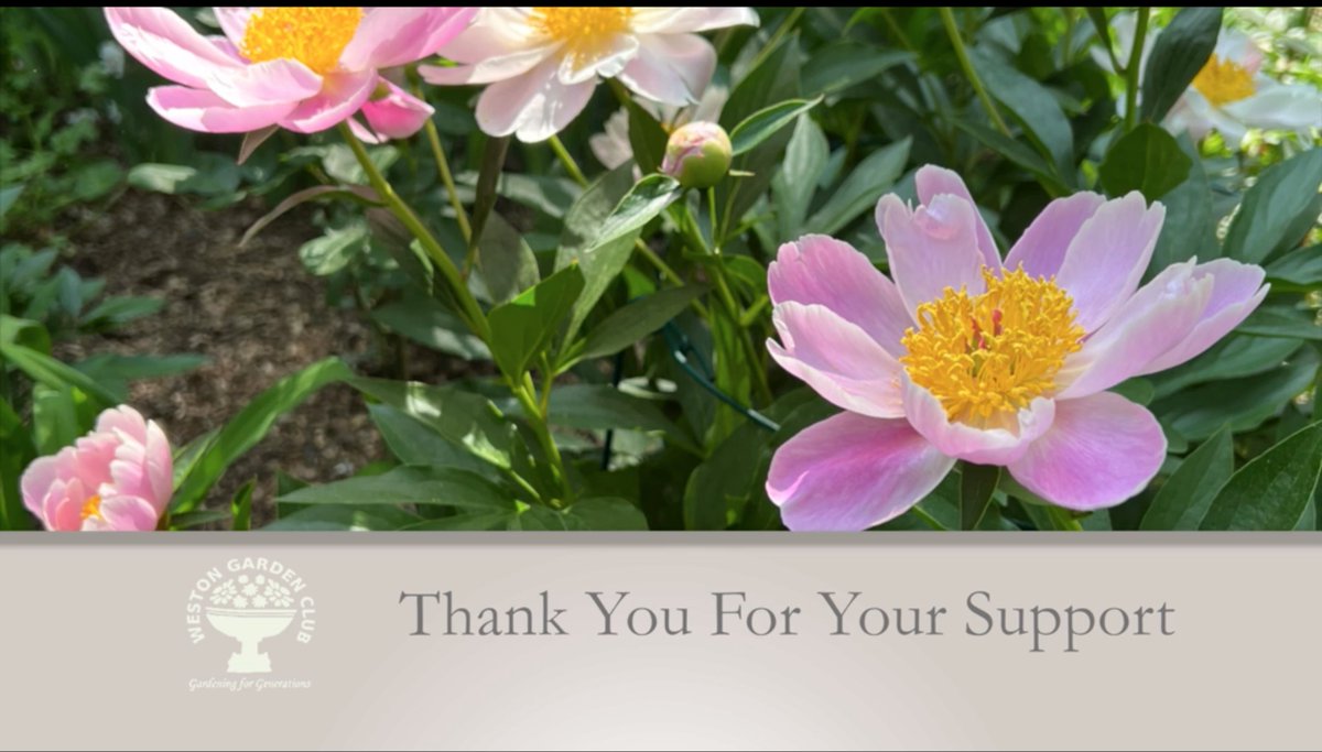The Weston Garden Club says...Thank you Garden Enthusiasts for meeting us in our gardens! Saturday was glorious. Enjoy!
…2.execute-api.us-west-2.amazonaws.com/ssr/watch/629e…
