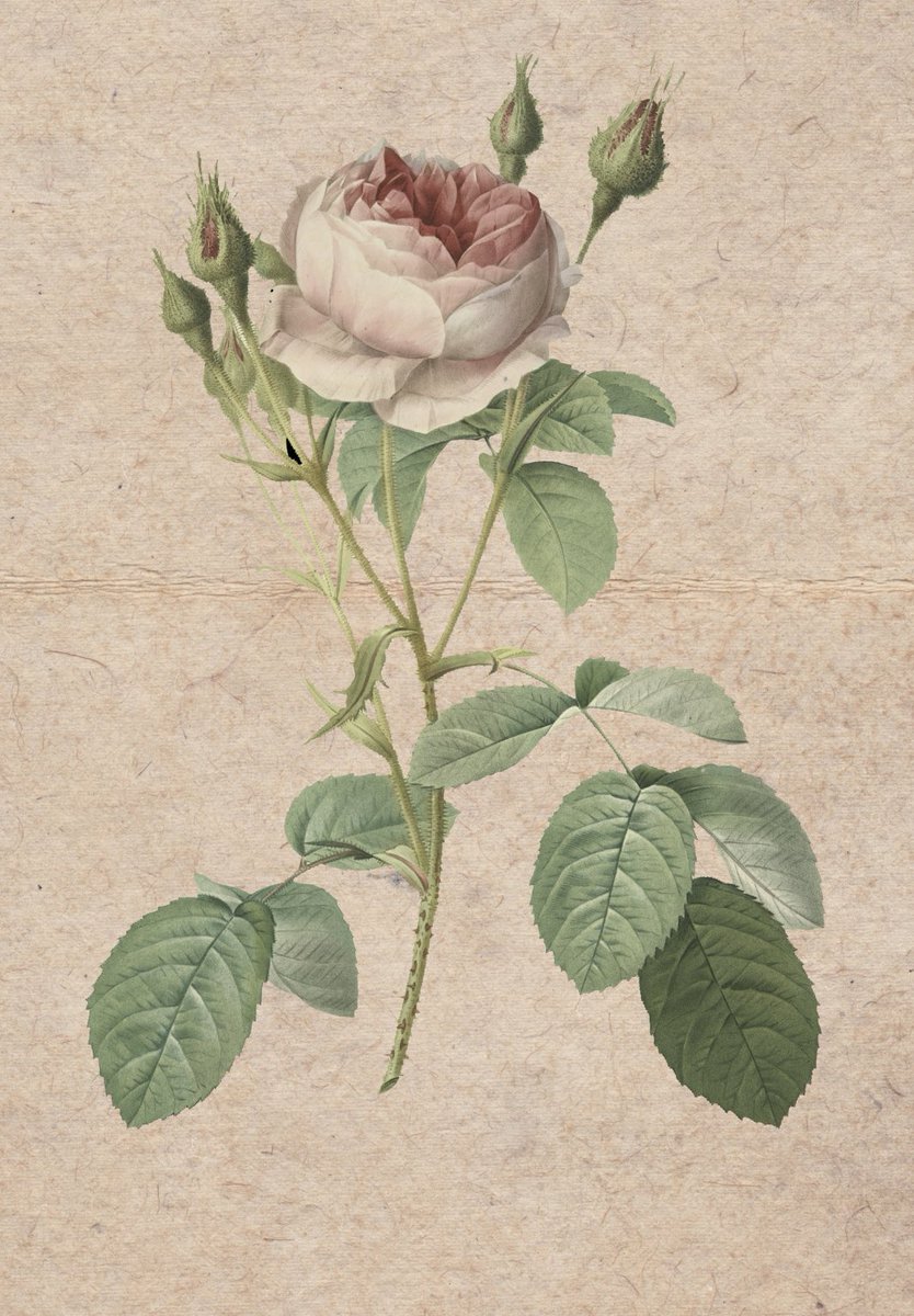 New original project coming soon!!

Working our arses off behind the scenes on this new project!!

Watch this space….