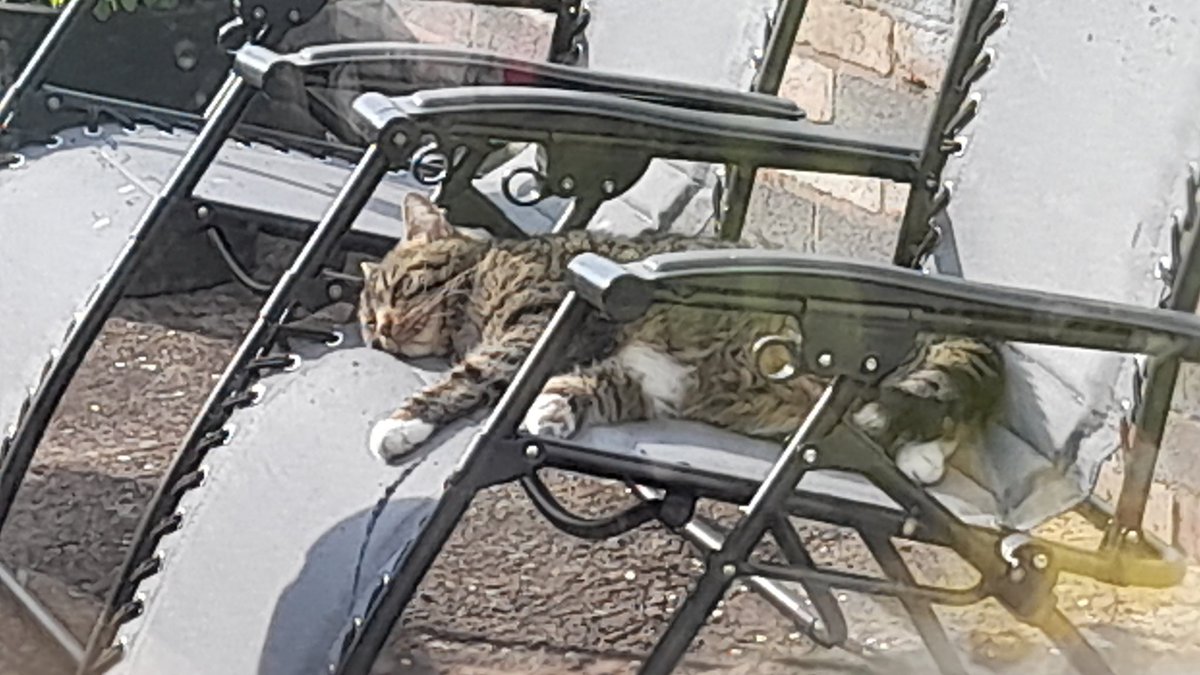 AlltheFluff tweet media