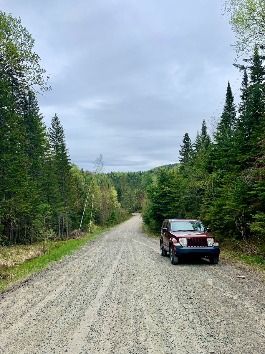 TRFisherwoman's tweet photo. Just a @jeep in her natural habitat 🌳#jeep #jeepliberty #nature #offroad #redranger https://t.co/PIGmhkuMdw