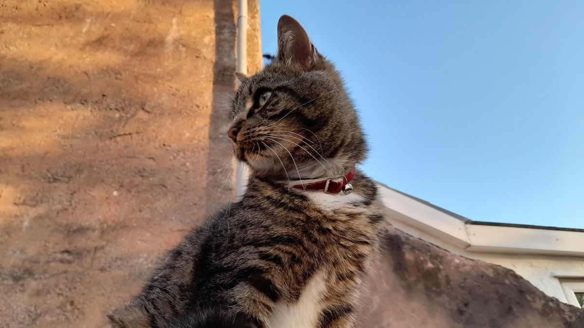 AlltheFluff tweet media