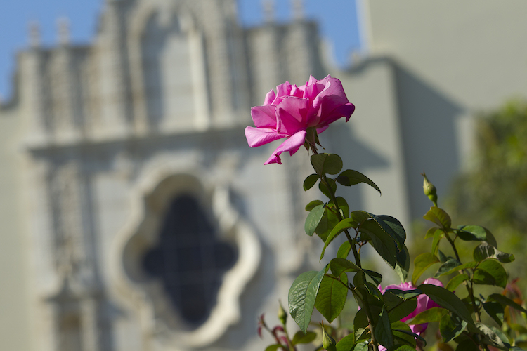usd_business's tweet photo. The Haley Takeda Memorial Scholarship honors student and makes #studyabroad experiences more financially accessible. This year's 4 student recipients are now making plans to study in Singapore, Italy, and the USD Madrid Center: https://t.co/MNC8i3us5e
#usdbiz @uofsandiego https://t.co/60DvfHXe1j