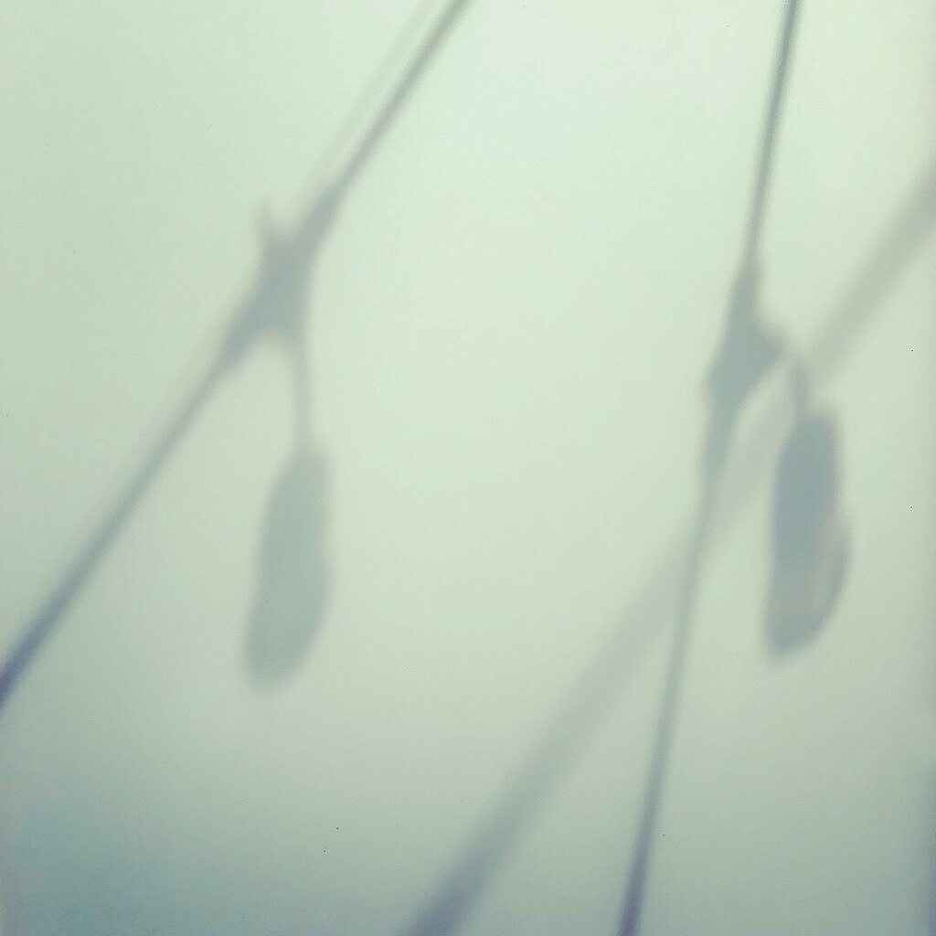 Images from our website
1. Obsessed with light: photograph by Clay Doyle
2. Abstract Photo by Michael Logan
3. Logo design: Aug-toberfest event
4. Vintage motor oil label instagr.am/p/CehWf6cPrOx/