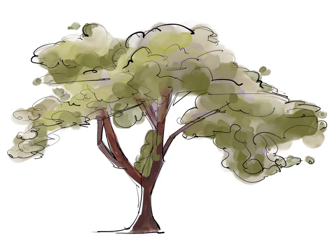 Lookat the very cool trees I drew the other day ‼️ 