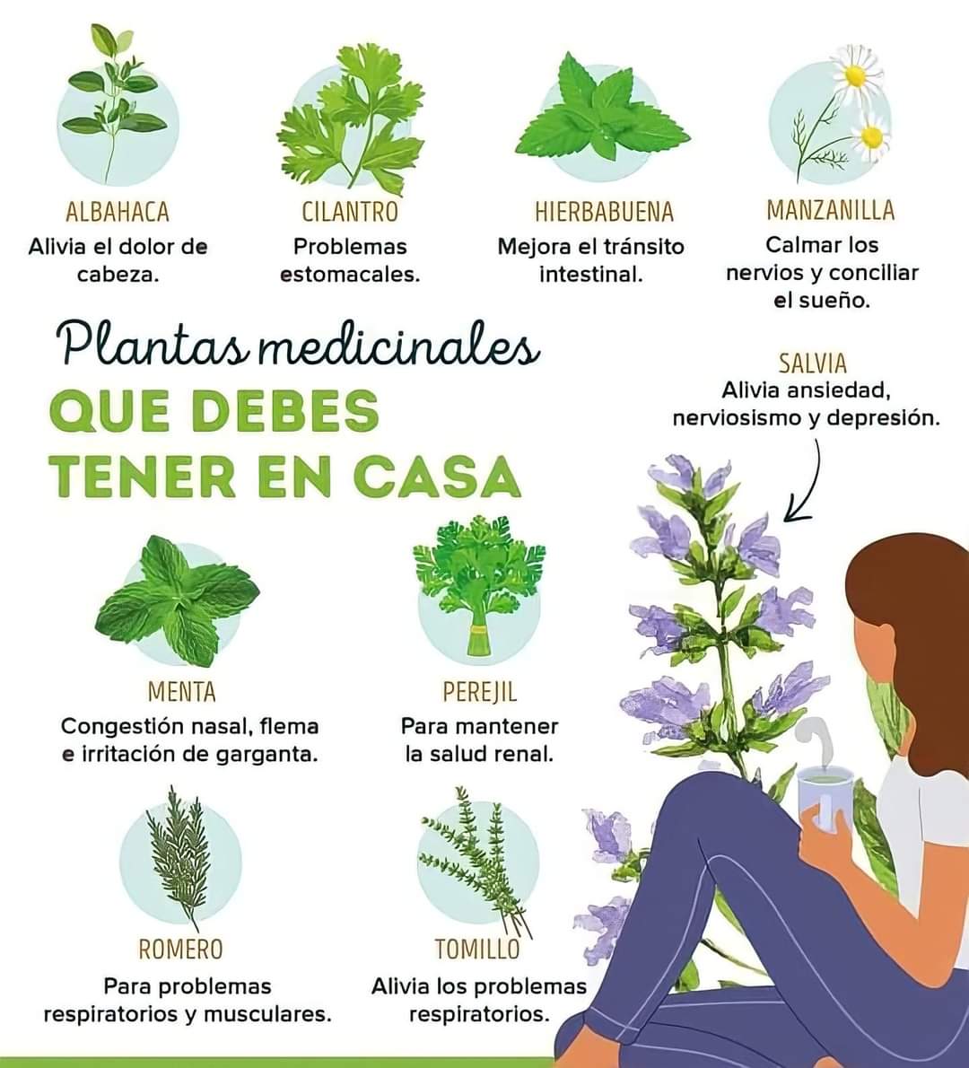 PuertoMontt_X's tweet photo. 🔥🔥🌿 Plantas medicinales que debes tener en tu casa 🌿
#EcoFREVS
#AgroEcologia https://t.co/IjooP0CXWs