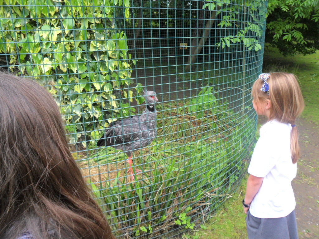 NectonY3's tweet photo. A fabulous time was had by Rowan Class today at the amazing Amazona Zoo. We loved seeing the real live animals we have been learning about, experiencing the humid hot house and learning from the experts. So exciting! @NectonY3 @AmazonaZoo https://t.co/roN9QWAYoE