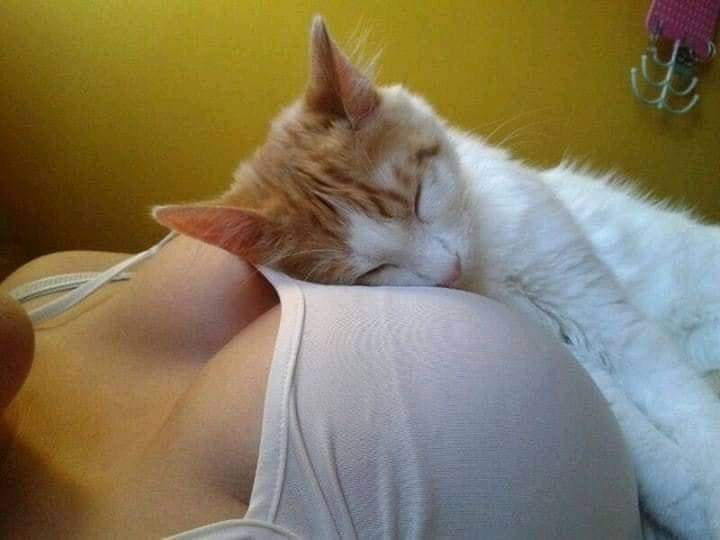 Rolita (@_onerolita) on Twitter photo 