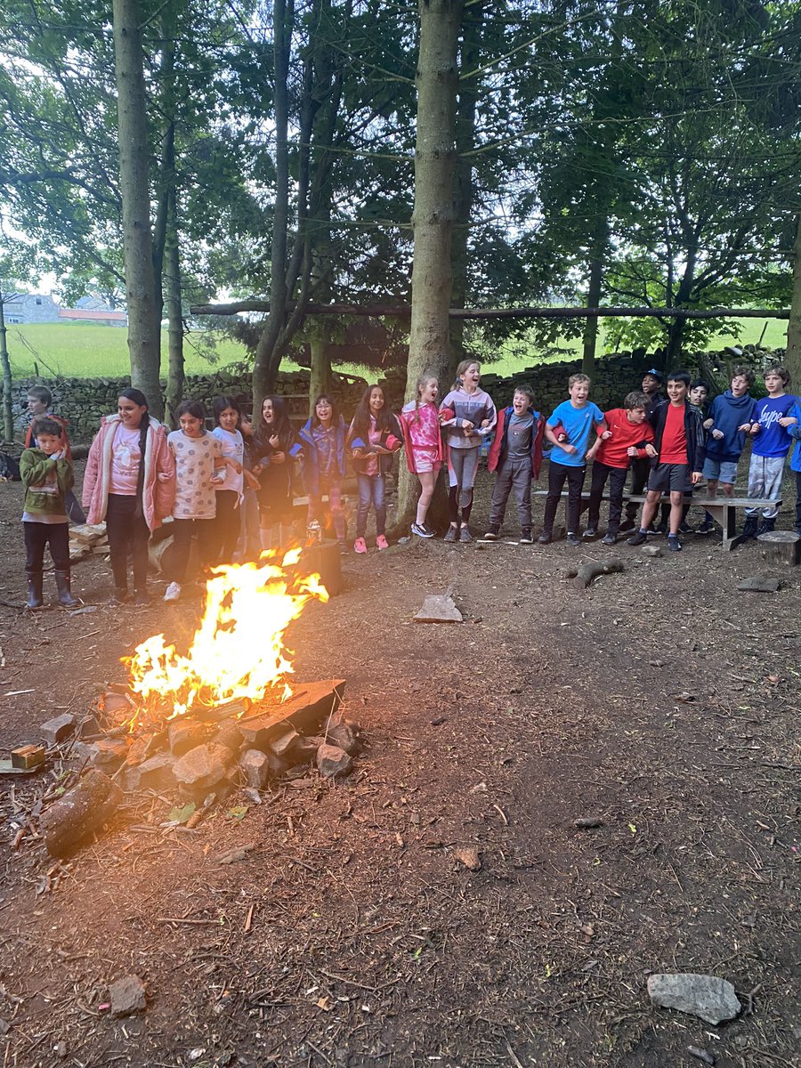 Roundhay School Y5 tweet media