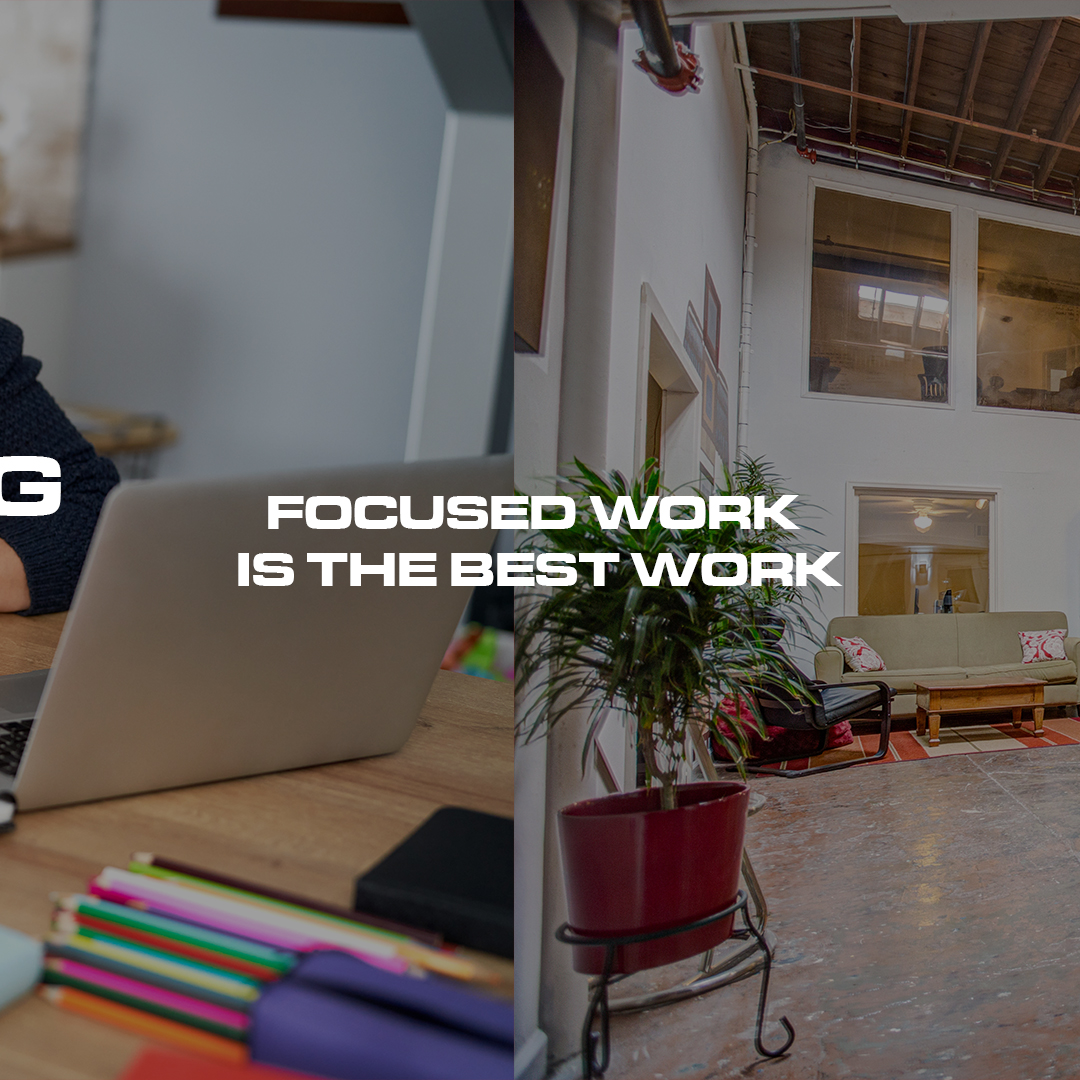 Alkaloid Networks tweet media
