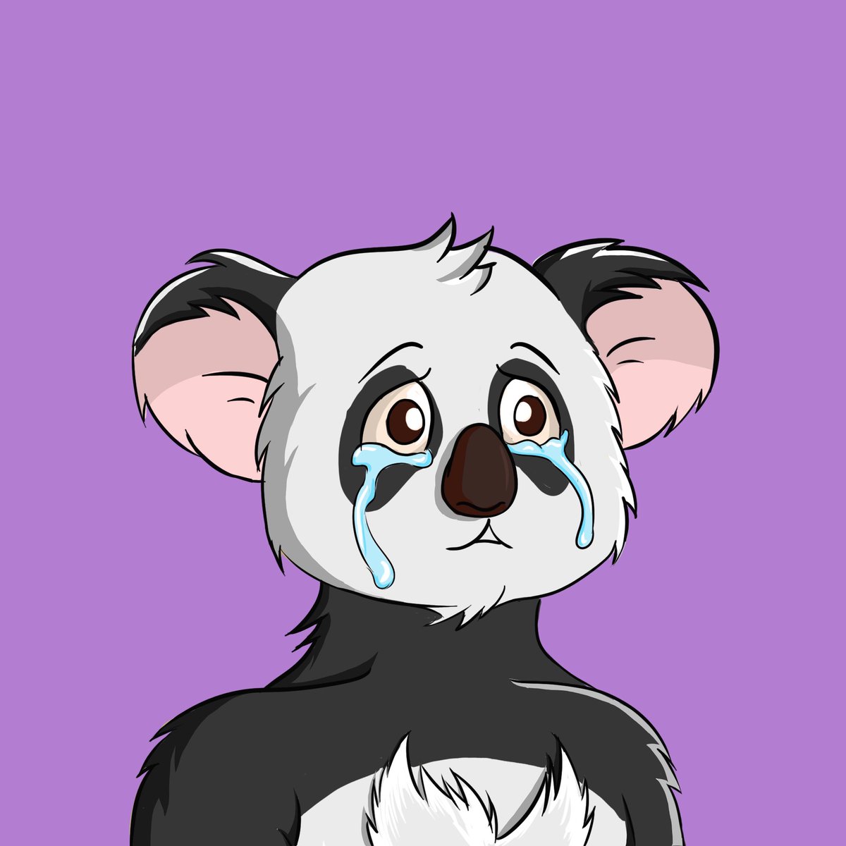 Frenly Koalas tweet media