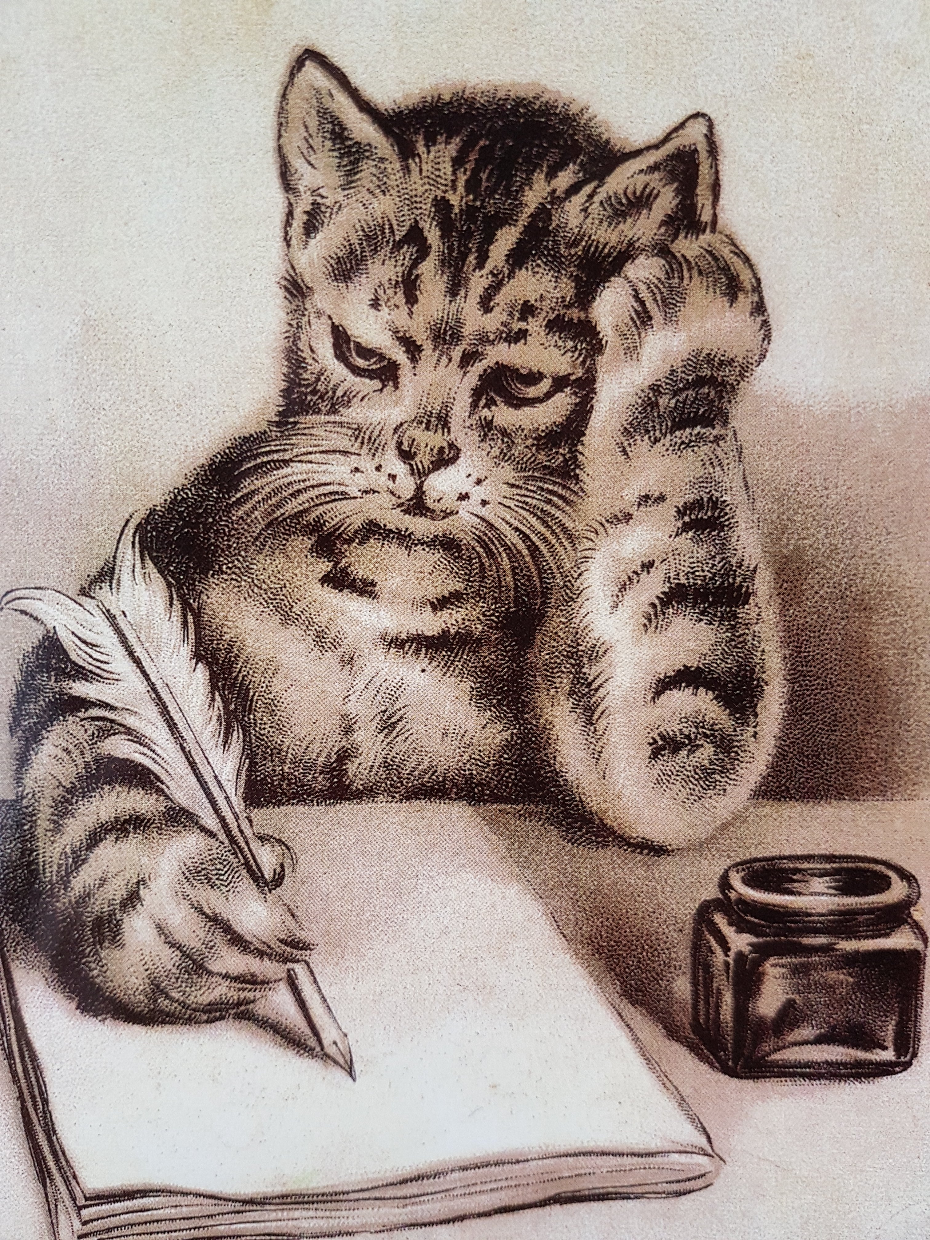 Кот писатель