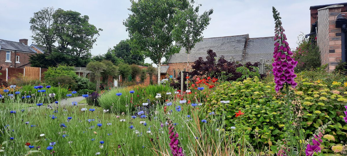 #Wildflowers in the #Ainsdale #Village #Community #Garden.
