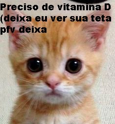 Gragolandia's tweet photo. https://t.co/wO5e4Y1Teg