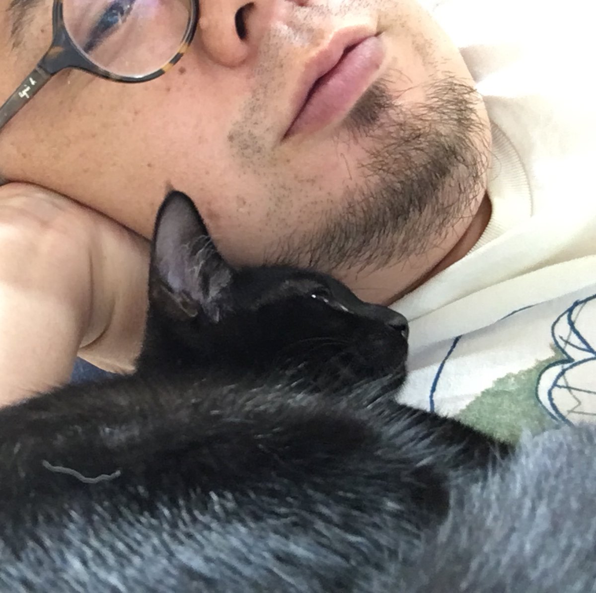 Green_tank's tweet photo. 寝るときだけはしとらしいよね。

くろ豆さん

#Animal #Cat #Cats #MyFamily #Picpets #Pet #Pet_Life #Corosuke #Sakura #chat #cat #katze #gatto #gato #Кот https://t.co/8L8ilxpl8r
