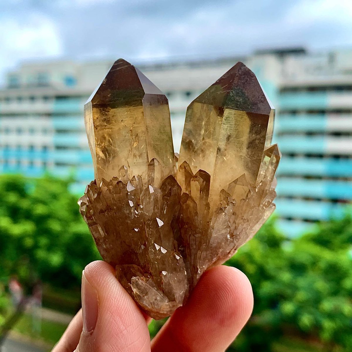 GeologyTime's tweet image. Stunning Kundalini Smoky Quartz - Congo 

Photo: CrystalMania08/IG

#minerals #crystals